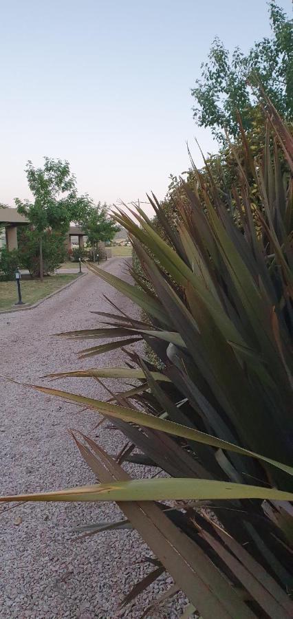 Alto San Andres Bed & Breakfast San Andres de las Sierras Exterior photo